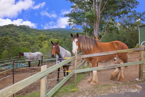 Property photo of 539 Bonogin Road Bonogin QLD 4213