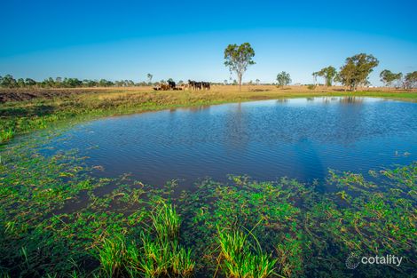 Property photo of 89 Boys Road Alton Downs QLD 4702