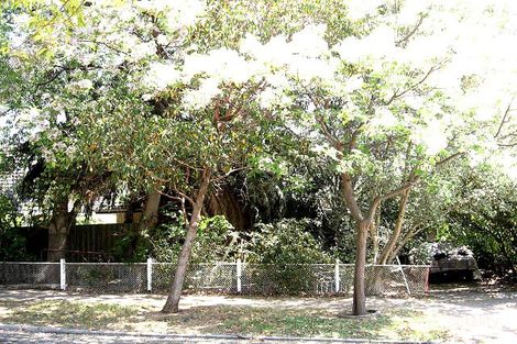 21 Keyes St, Linden Park, SA 5065