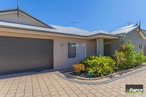 Property photo of 41B Thor Street Innaloo WA 6018