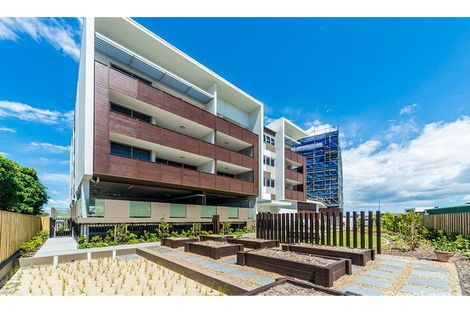 Property photo of 6/93 Sheehan Avenue Hope Island QLD 4212