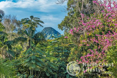 20 Azalea St, Mullumbimby, NSW 2482