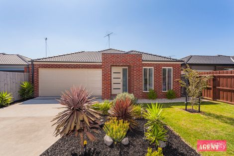 2/41 Barwarre Rd, Marshall, VIC 3216