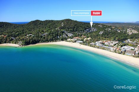 Property photo of 7501/5 Morwong Drive Noosa Heads QLD 4567