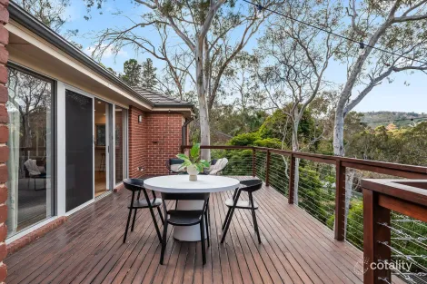 Property photo of 9 Ti Tree Road Hawthorndene SA 5051