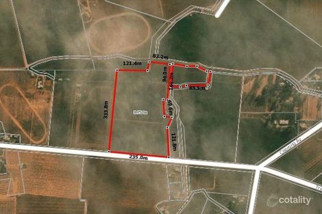 130 Trioda St, Red Cliffs, VIC 3496