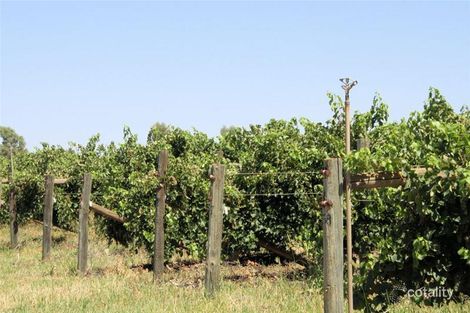 Property photo of 130 Trioda Street Red Cliffs VIC 3496