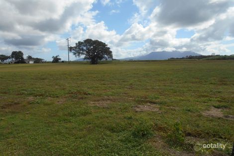 Property photo of 11 Riverdowns Drive Halifax QLD 4850