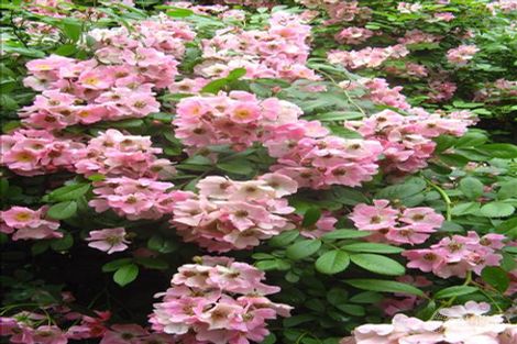 Property photo of 20 Egans Road Oakdale NSW 2570