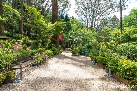 Property photo of 19 Ornata Road Mount Dandenong VIC 3767