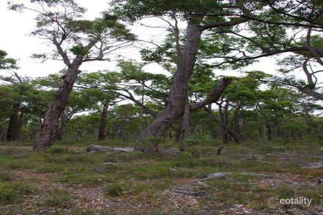 673 Nukennullup Rd, Tenterden, WA 6322