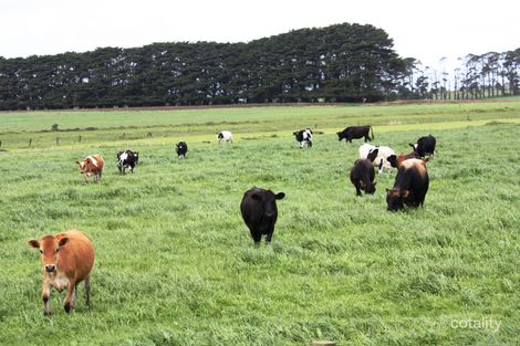 102 Nine Mile Creek Rd, Koroit, VIC 3282