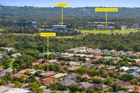 Property photo of 16 Trinity Crescent Sippy Downs QLD 4556