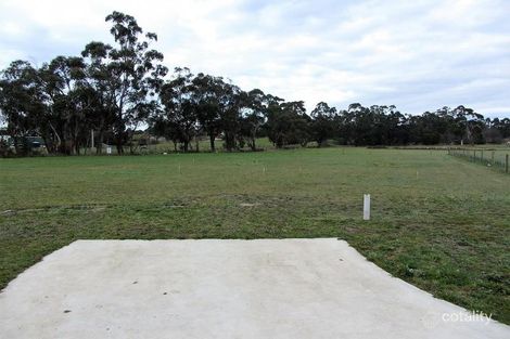 Property photo of 4 Ripplebrook Court Drouin VIC 3818