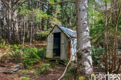 Property photo of 12555 Highland Lakes Road Golden Valley TAS 7304