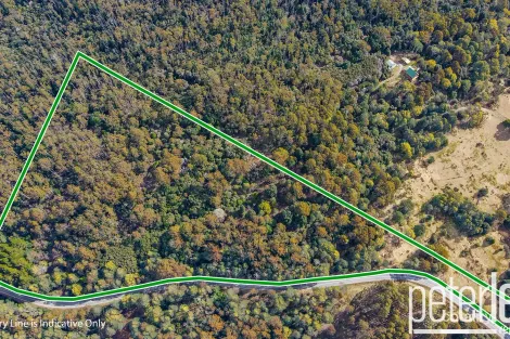 Property photo of 12555 Highland Lakes Road Golden Valley TAS 7304