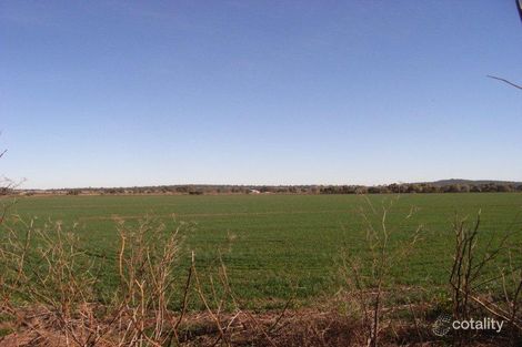 357l Fowlers Bridge Lane, Bilbul, NSW 2680