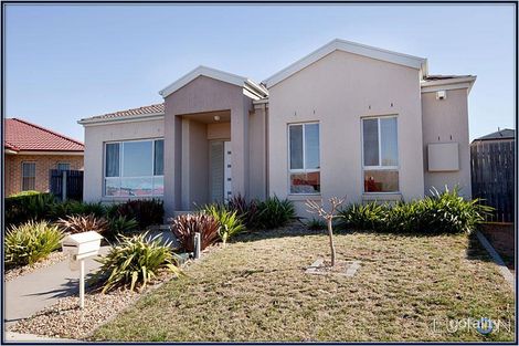 Property photo of 51 Osprey Street Harrison ACT 2914