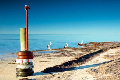 Property photo of 39 Ti-Tree Road The Pines SA 5577