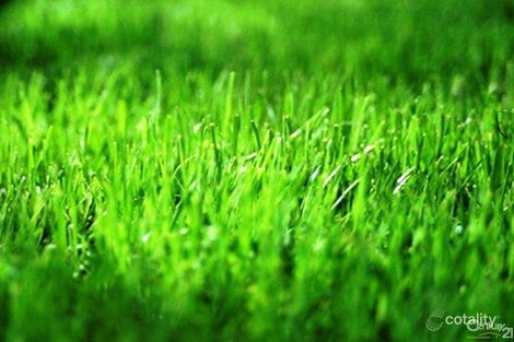 9 Eacott St, Longwarry, VIC 3816