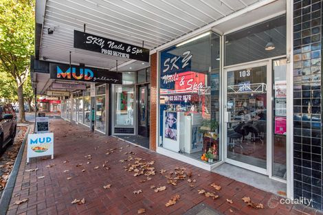 103 Gray St, Hamilton, VIC 3300