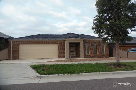 Property photo of 63 Batman Street Burnside Heights VIC 3023