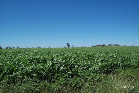 45 Willowie Rd, Graman, NSW 2360