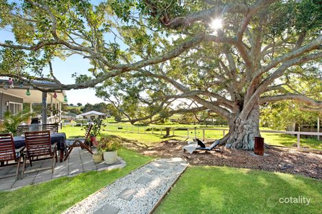 Property photo of 19 Eyrie Bowrie Drive Milton NSW 2538