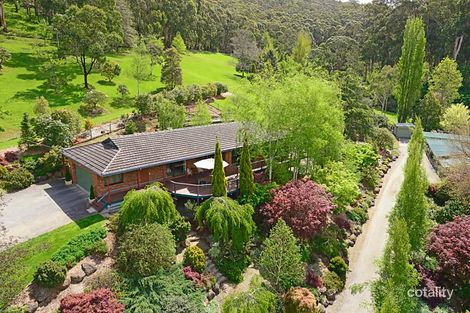 Property photo of 20 Dealbata Road Upwey VIC 3158
