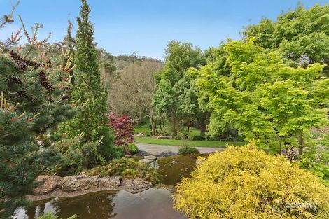 Property photo of 20 Dealbata Road Upwey VIC 3158