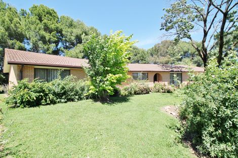 67 Back Creek Rd, Young, NSW 2594