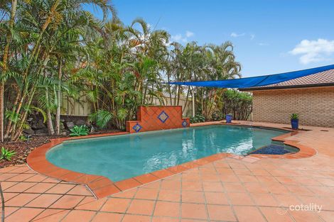 Property photo of 6 Tiger Drive Arundel QLD 4214