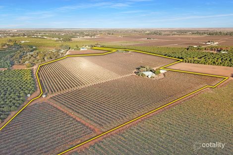 38 Dunstan Rd, Waikerie, SA 5330