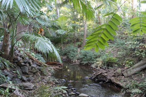 Property photo of 8 Dutton Crescent Coffs Harbour NSW 2450