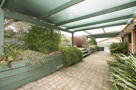 Property photo of 8 Body Place Macarthur ACT 2904