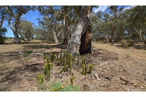Property photo of 120 Bundilla Road Cambrai SA 5353