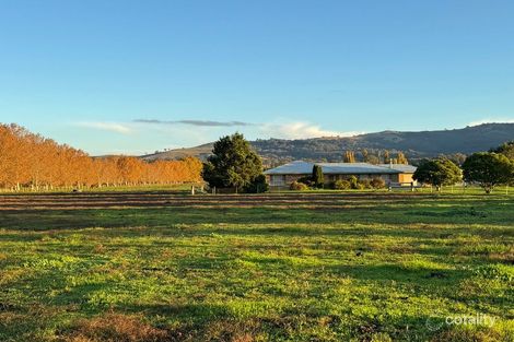 Property photo of 5985 New England Highway Blandford NSW 2338