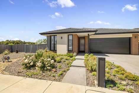 7 ALEXANDER DR, BALLAN, VIC 3342
