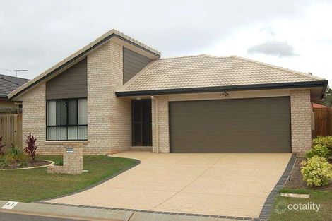Property photo of 41 Macfarlan Street Birkdale QLD 4159