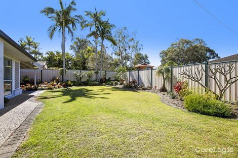 Property photo of 6 Benjamin Court Cleveland QLD 4163