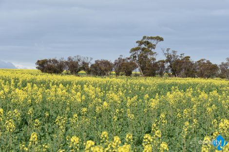 3181 Cunderdin-Wyalkatchem Rd, Wyalkatchem, WA 6485