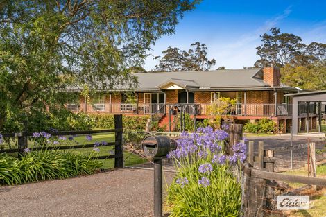 619 Jilliby Rd, Jilliby, NSW 2259
