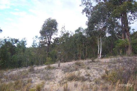 Property photo of 29 Peppertree Circuit Toronto NSW 2283