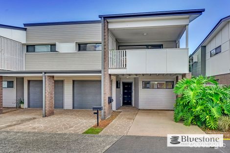 Property photo of 23/31 Matthew Street Carseldine QLD 4034