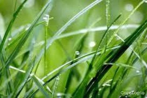 1/35 Wicklow St, Ormond, VIC 3204