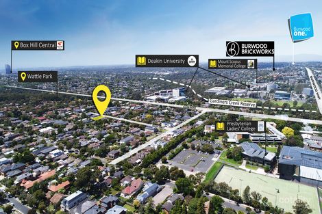 Property photo of 19 Faelen Street Burwood VIC 3125