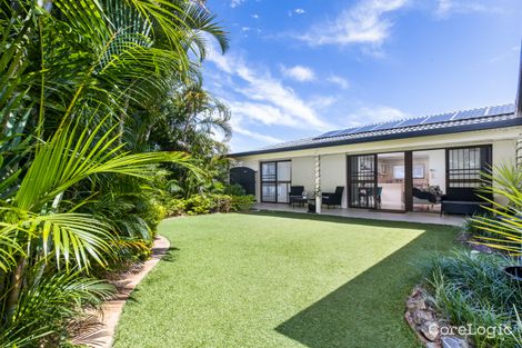 Property photo of 17 Ardell Street Kenmore QLD 4069