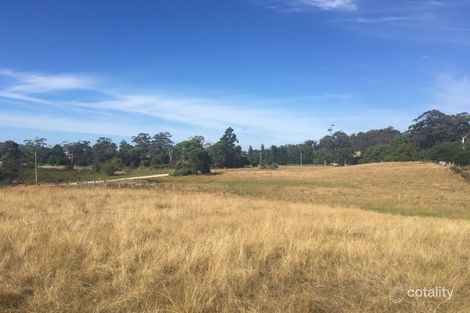 267 Medeas Cove Rd, St Helens, TAS 7216