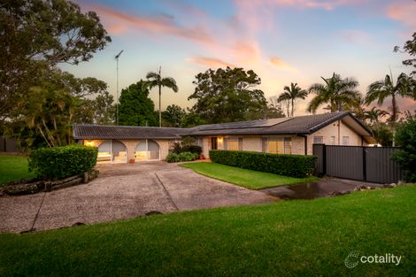 Property photo of 29 Wandin Street Nerang QLD 4211