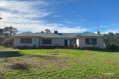 452 Youngs Lane, Lake Cowal, NSW 2671